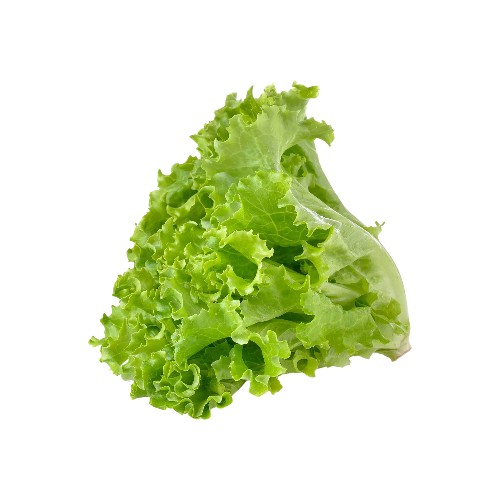 SPARG LETTUCE 250G