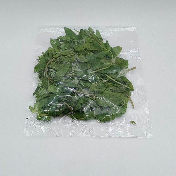 SPARG FRESH MINT