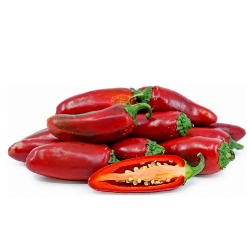 RED JALAPENO CHILLI