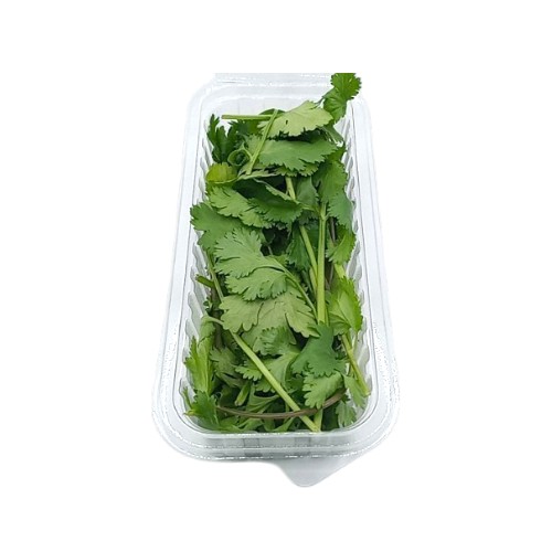 CORIANDER PUNNET
