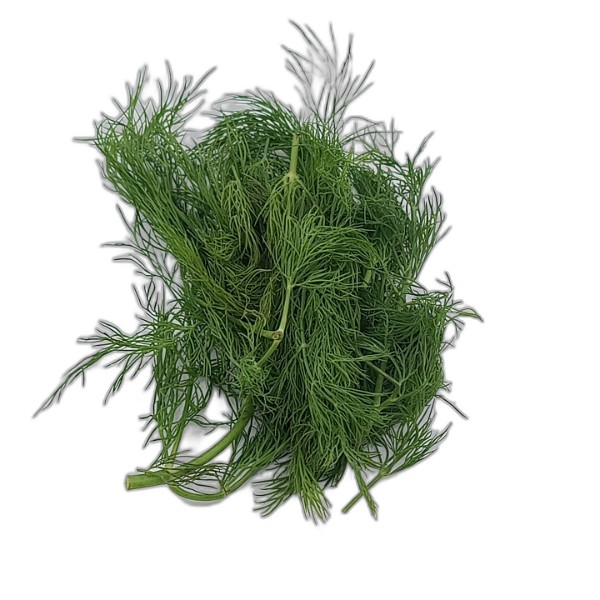 DILL PUNNET