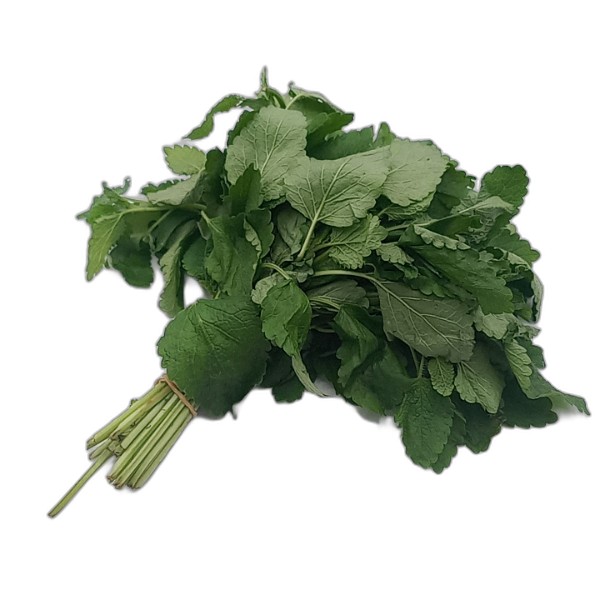 LEMON THYME BUNDLE