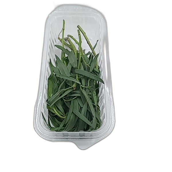 TARRAGON PUNNET