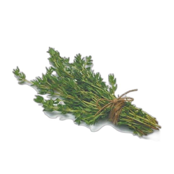 THYME PUNNET