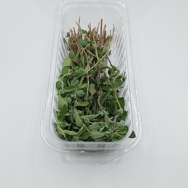 MARJORAM PUNNET