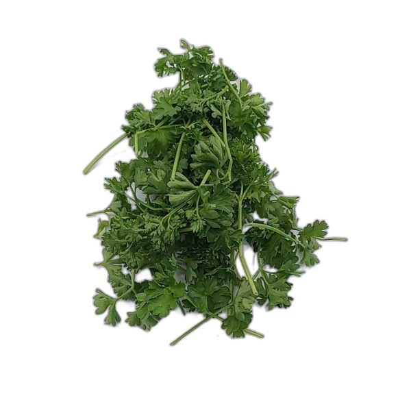 CURLY PARSLEY PUNNET
