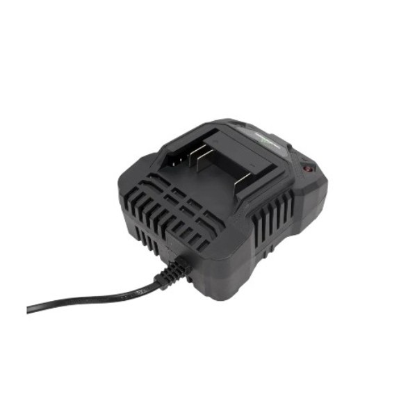TRUEGREEN CHARGER TG8M248