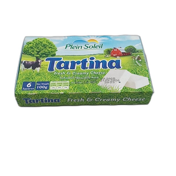 PLEIN SOLEIL TARTINA SQUARE CHEESE 6PCS 100G