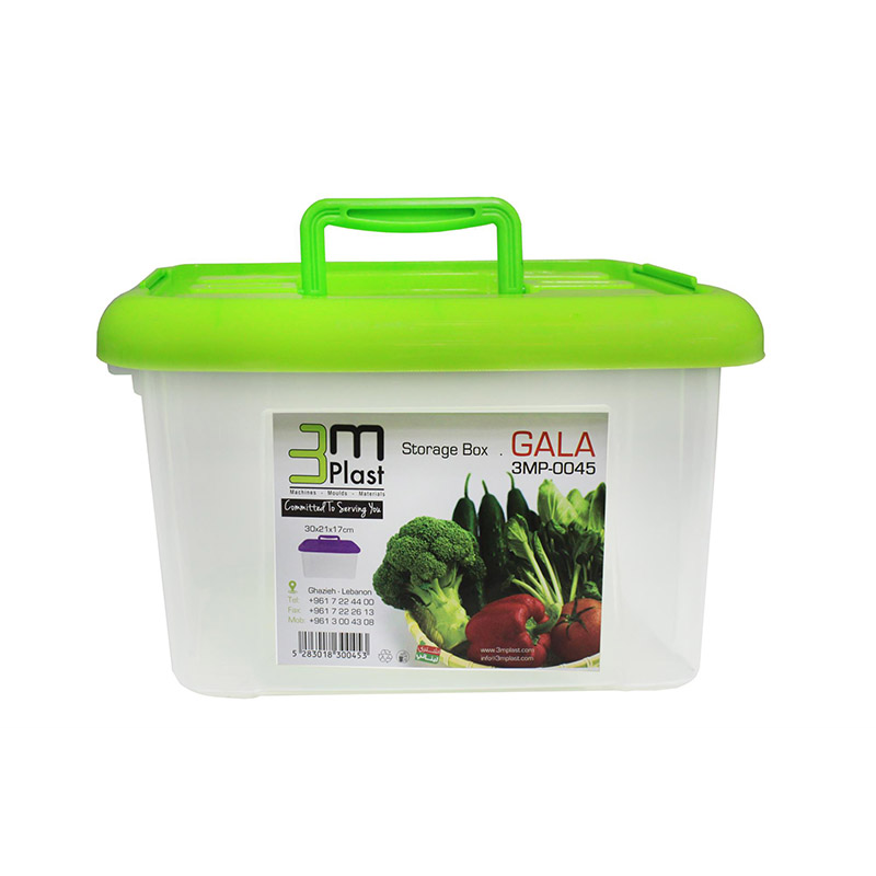 STORAGE BOX 30X21X17CM SMART 15L PLASTIC 3MP-0045
