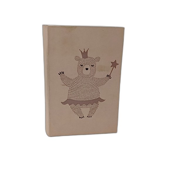 STORAGE BOX 2PCS BOOK SHAPE