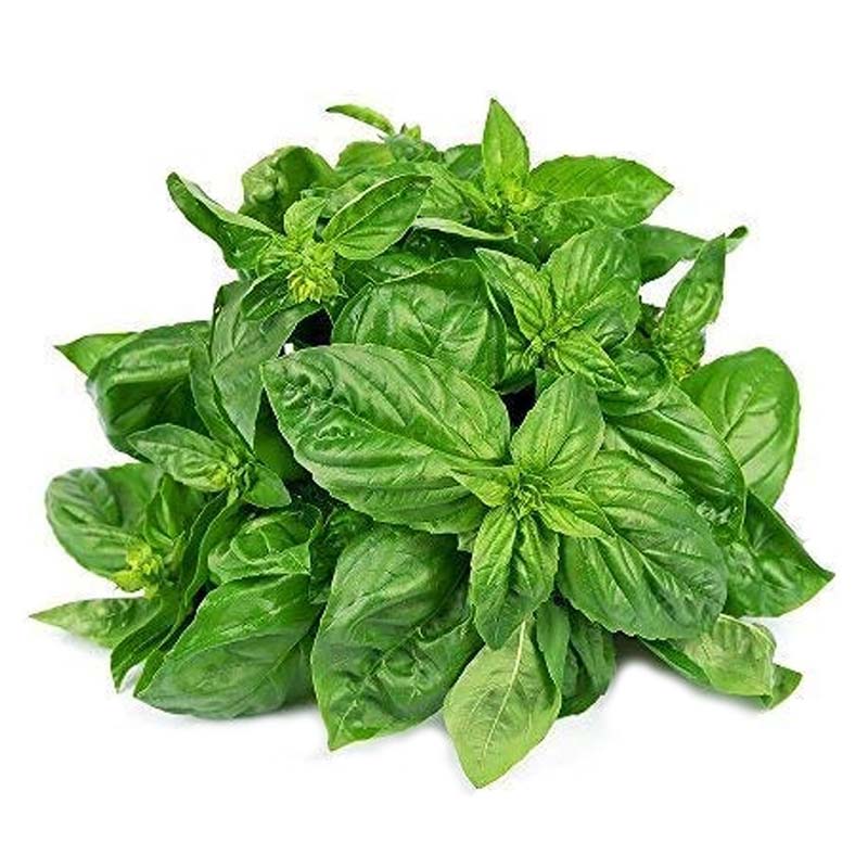 HAPPY HKAF BASIL LEAVES 50G