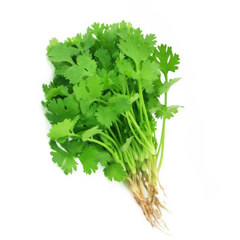 HKAF CORIANDER LEAVES 50G