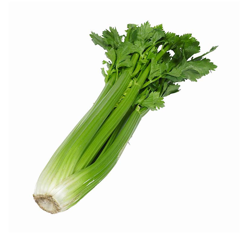 HAPPY HKAF CELERY PACK