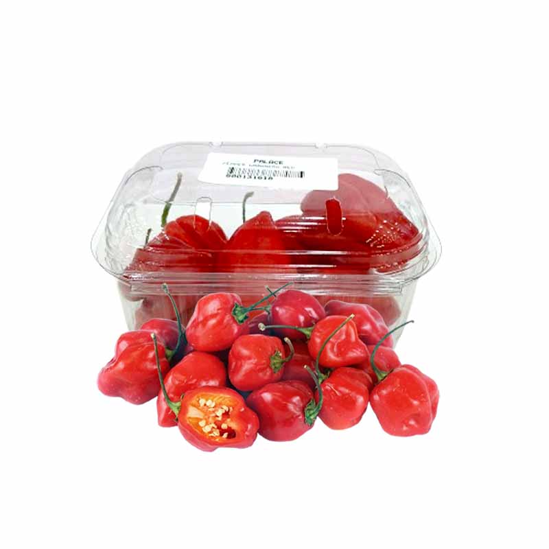 RED HABANERO PEPPERS 100G