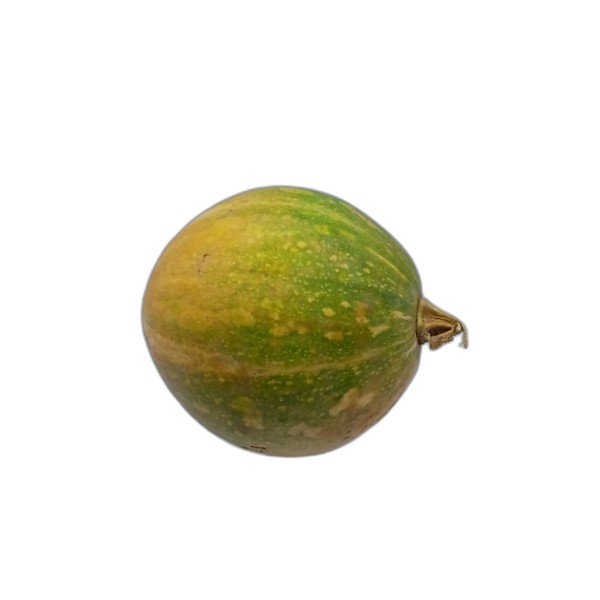 AGPAK PUMPKIN 1PC