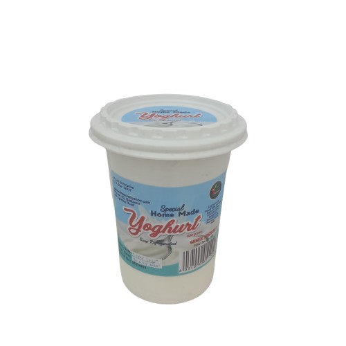 GREEK YOGHURT 600G SPECIAL HOME MADE