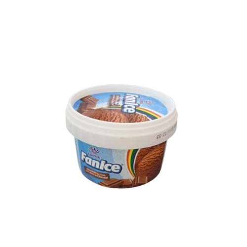 FANICE CHOCOLATE ICE CREAM 250ML