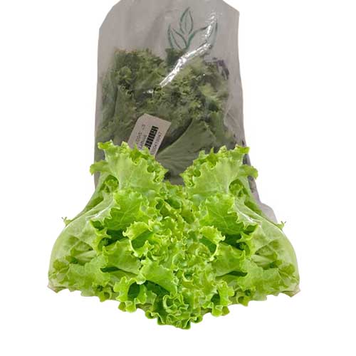 AGPAK LETTUCE 200G