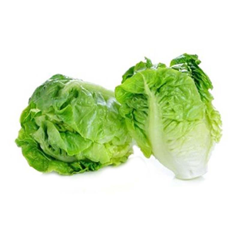 MAPH LETTUCE 250G