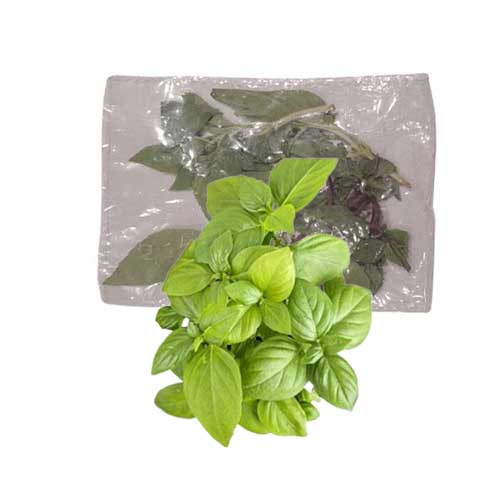 MALF CINNAMON BASIL 30G