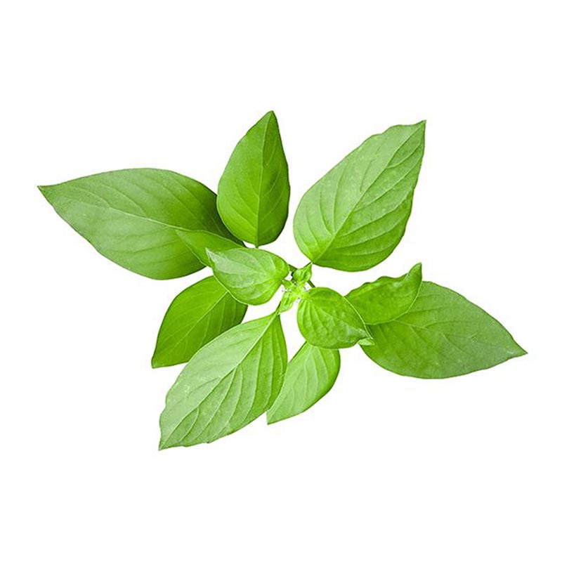 MALF LEMON BASIL