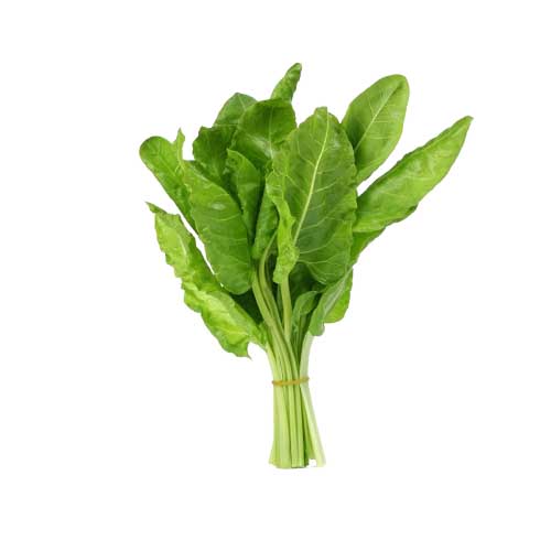 MALF SWISS CHARD SPINACH
