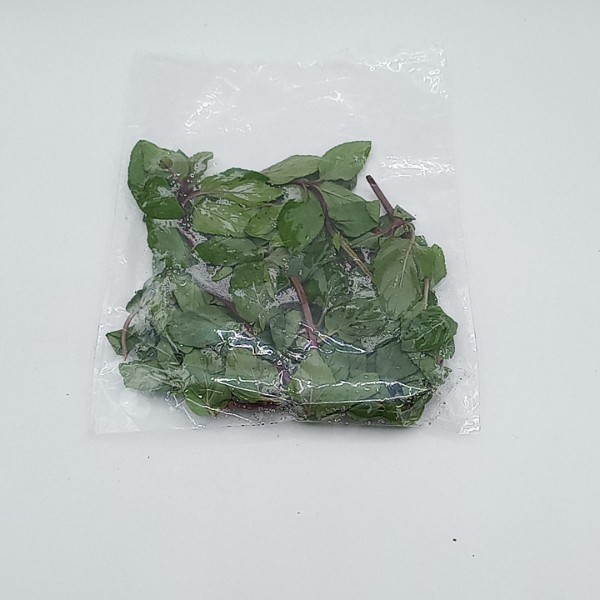 MALF CHOCO MINT