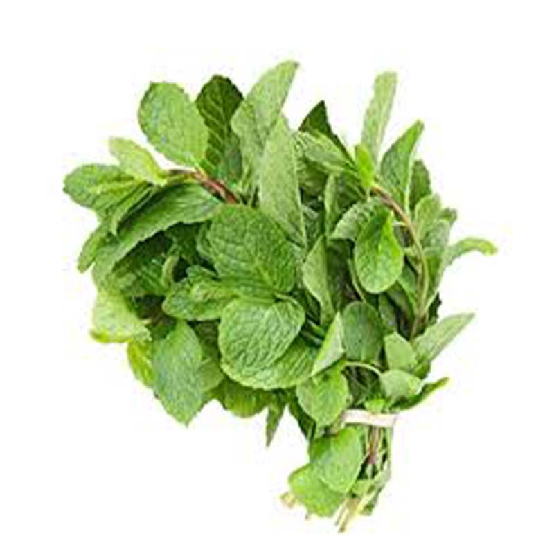 MALF MINT