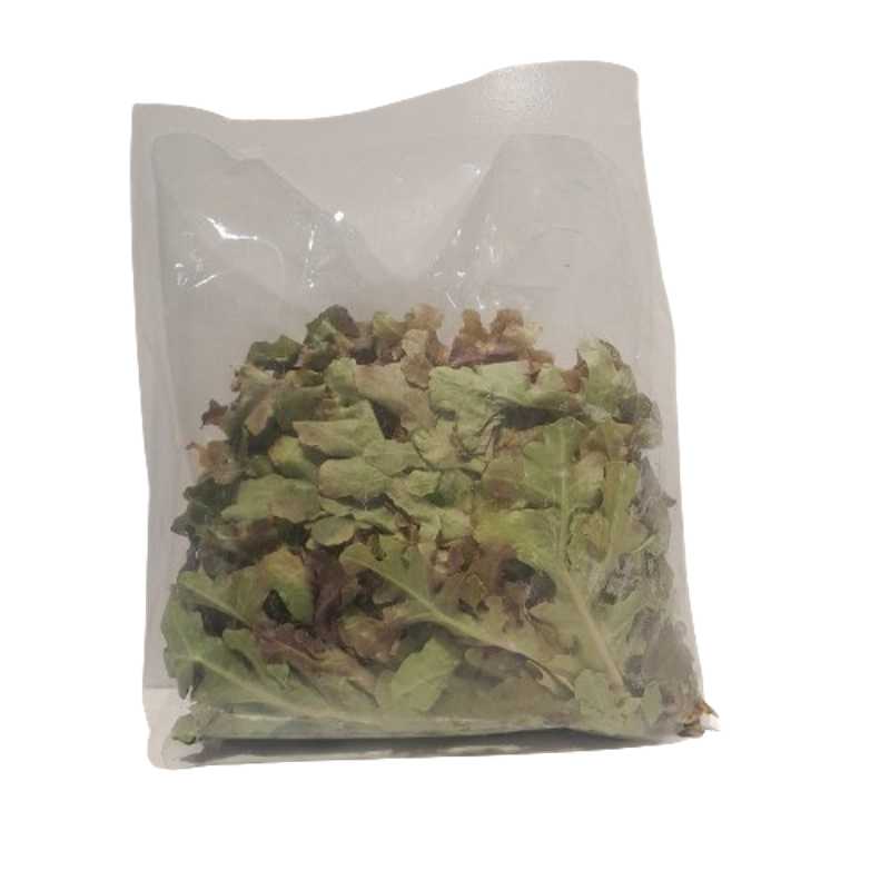 MALF CURLY LETTUCE