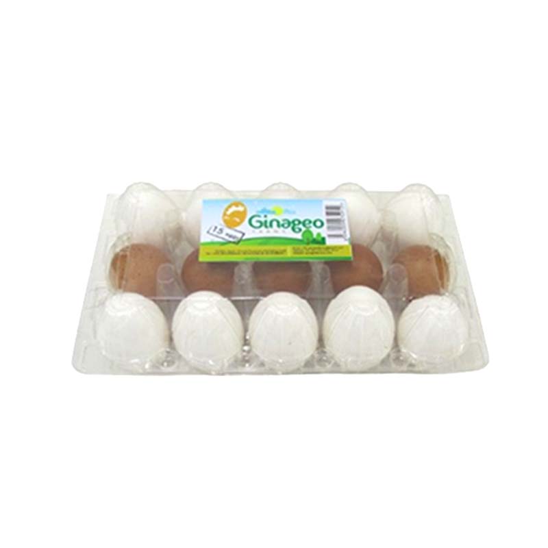 GINAGEO EGGS 15PCS
