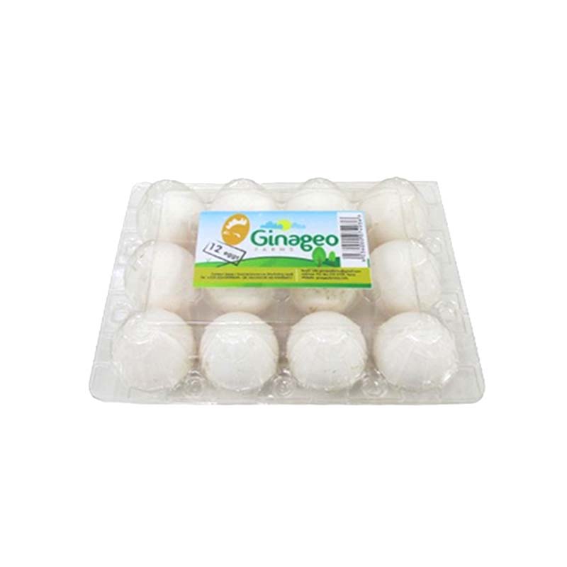 GINAGEO EGGS 12PCS