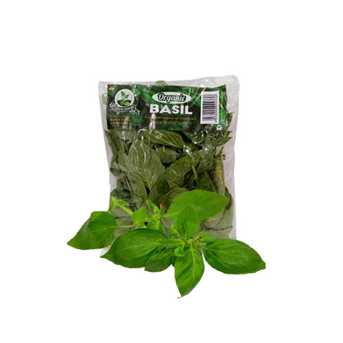 BOFAR ORGANIC BASIL 50G
