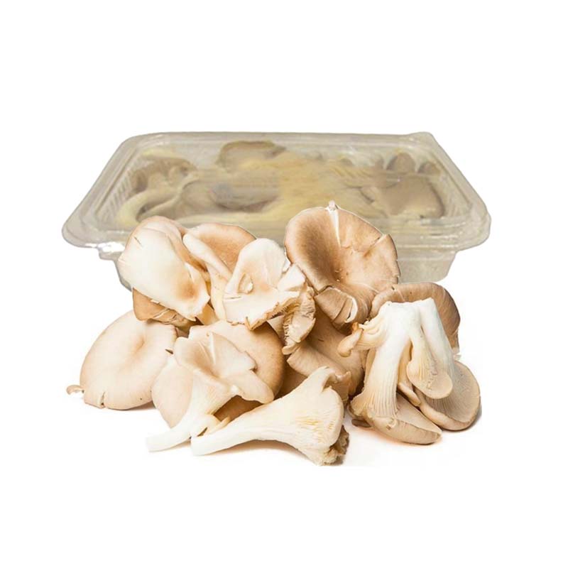 OYSTER MUSHROOM 200G