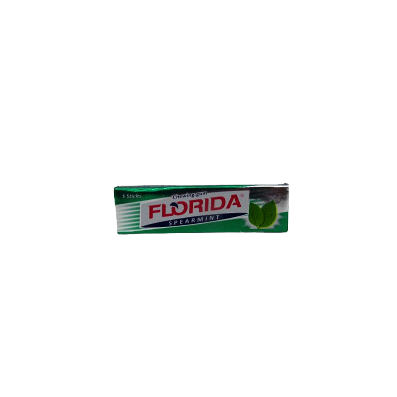 GUM SPEARMINT 12.5G FLORIDA