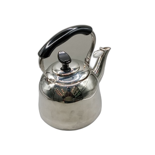STAINLESS TEAPOT 1L