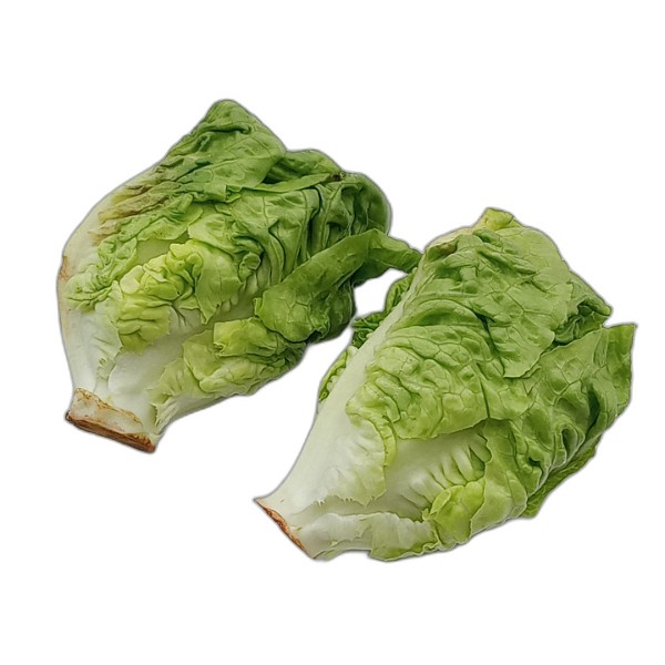 LITTLE GEM LETTUCE