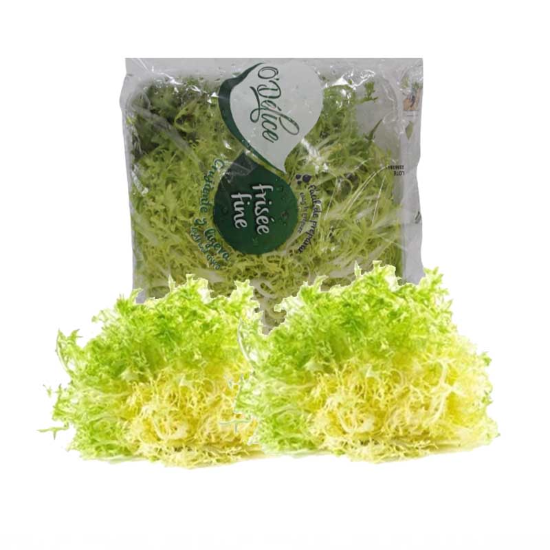 YELLOW FRISEE LETTUCE