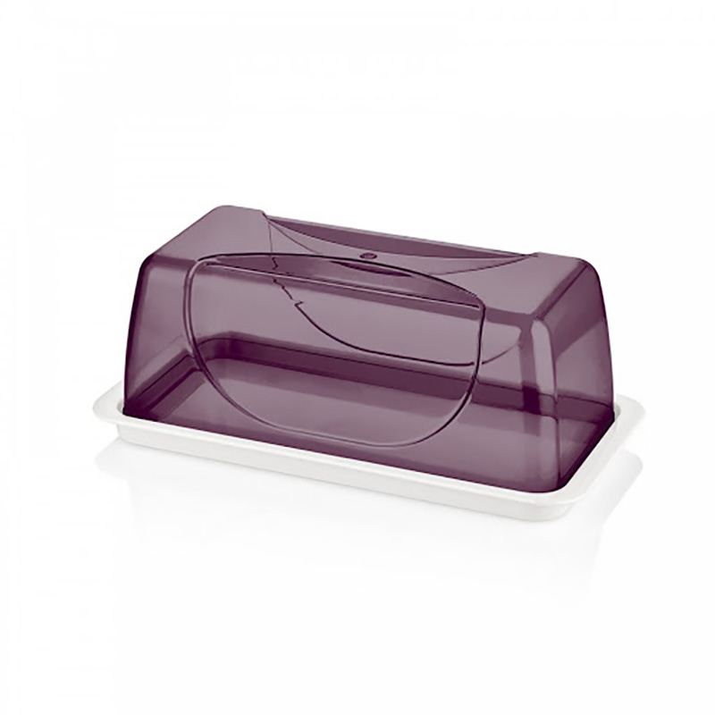 CAKE BOX SMART PLASTIC BG-426