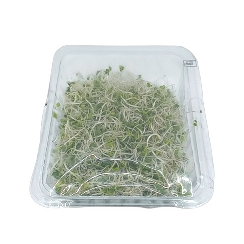 BROCCOLI SPROUTS 50G