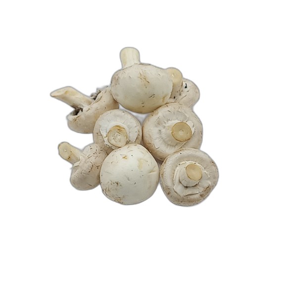 WHITE MUSHROOMS