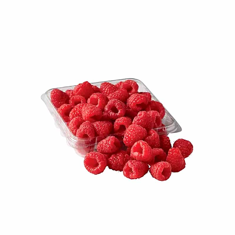 FRESH RASPBERRIES