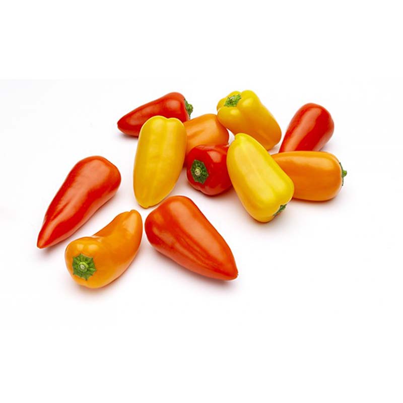 TINKERBELL PEPPER MIX 150G