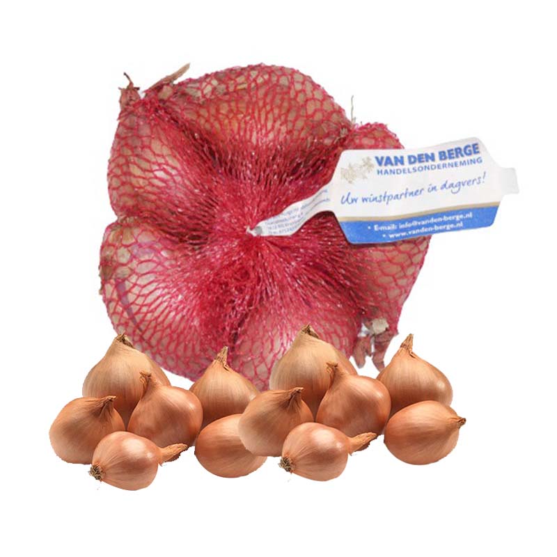 ROUND SHALLOTS