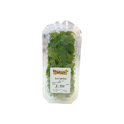 CORIANDER PUNNET 20G