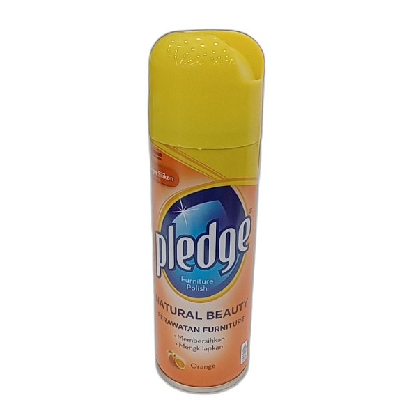 PLEDGE ORANGE AIR FRESHENER 60G
